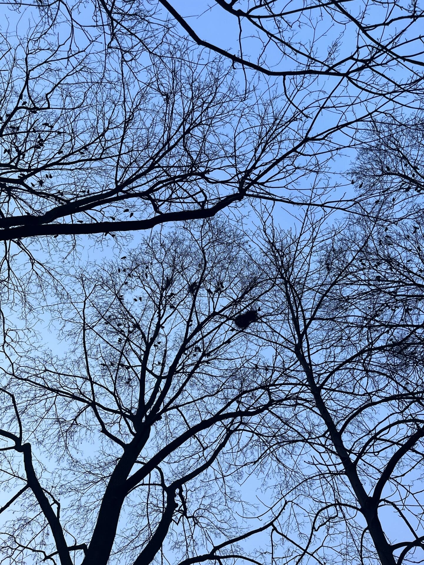 W głębi i na powierzchni. Myśli zebrane albo kronika końca niedokończonego.