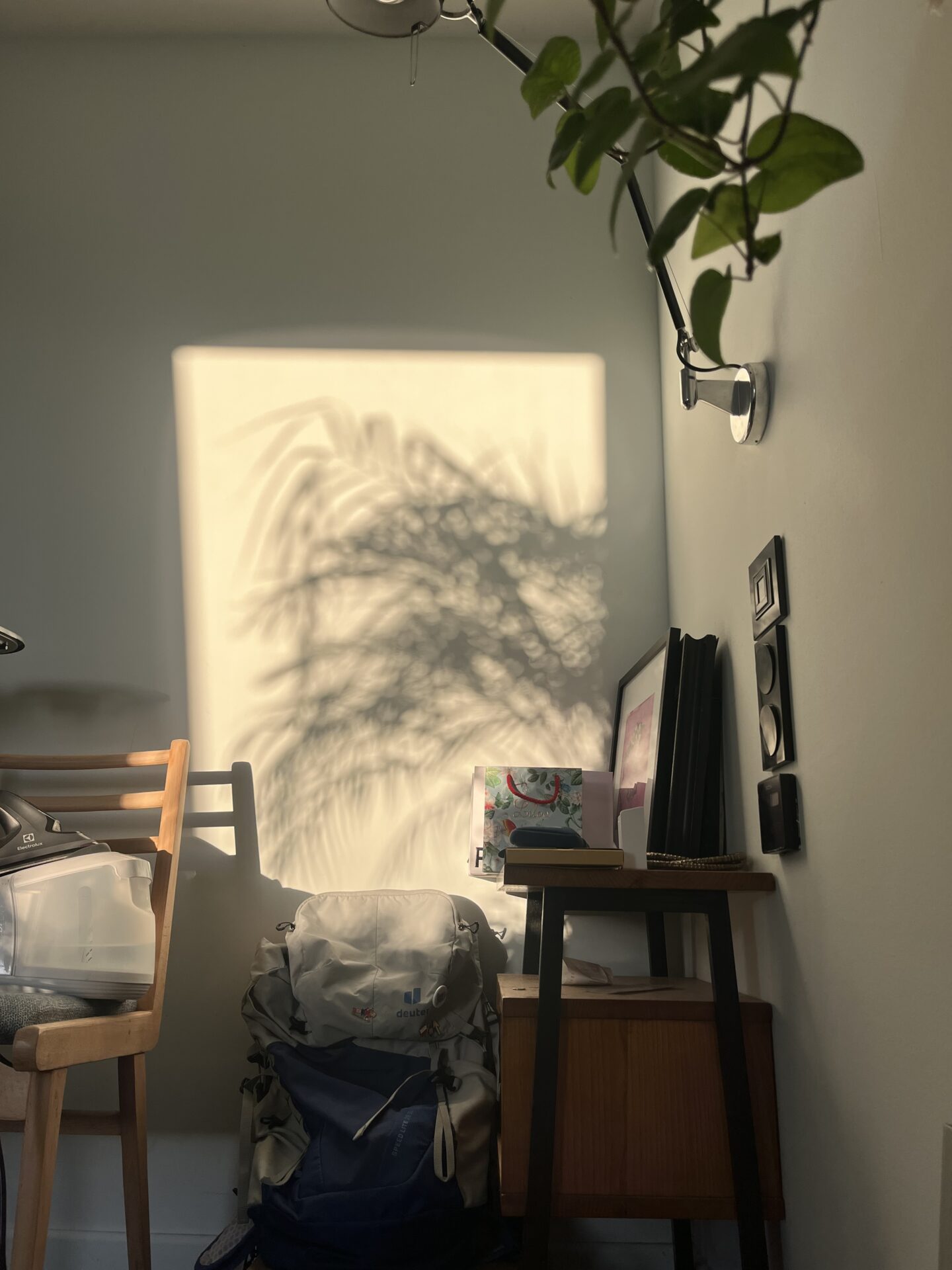 szczęście jest dmuchawcem