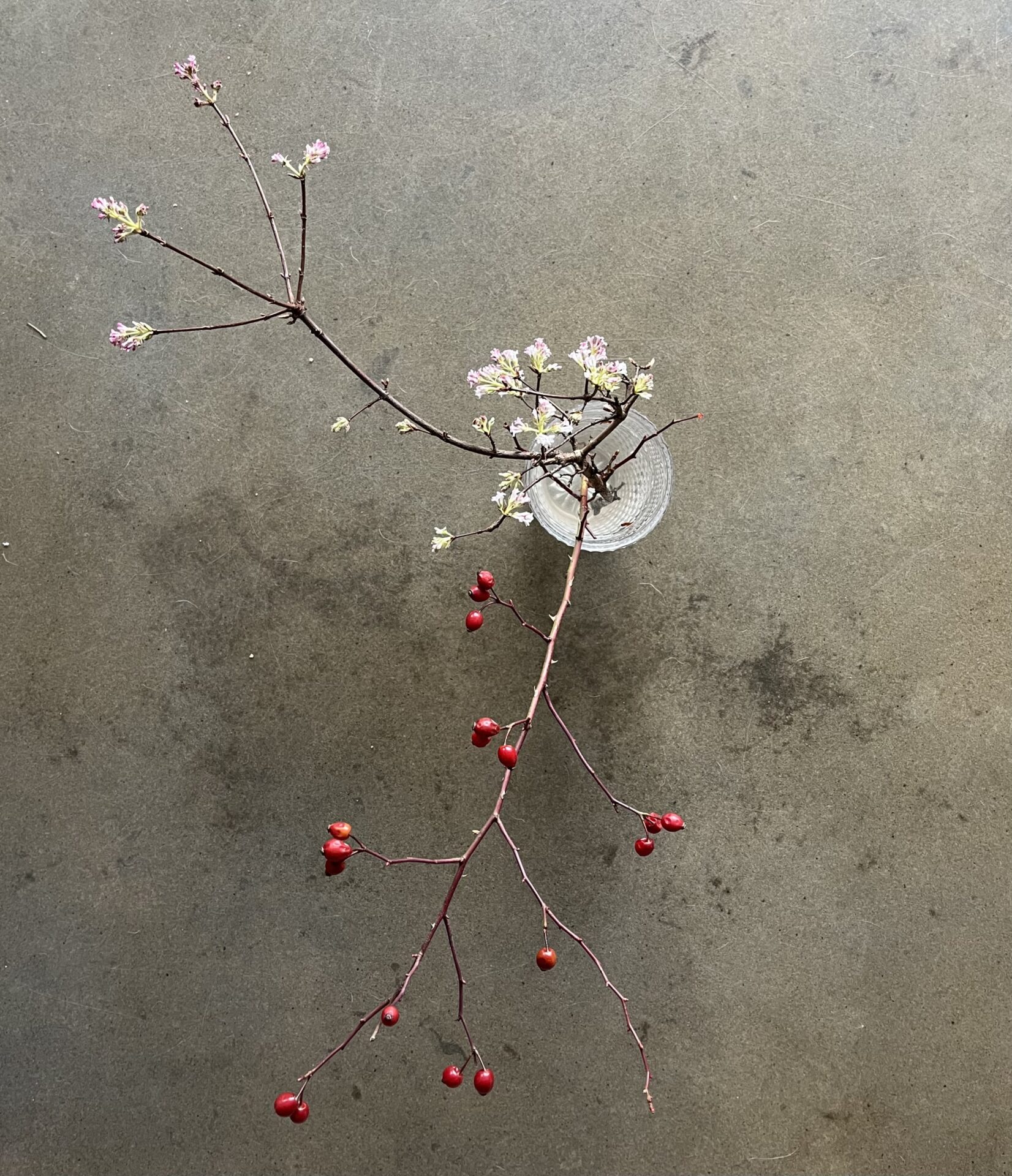 Piękny miesiąc grudzień